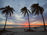 Playa Guiones Beach, Nosara, Nicoya Peninsula, Guanacaste Province, Costa Rica Photographic Print by Robert Francis