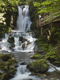 Dickson Falls in Fundy National Park, New Brunswick, Canada, North America Photographie par Michael DeFreitas