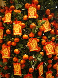 Tangerine Good Luck Symbols, Chinese New Year Decoration, Macao, China, Asia Photographic Print