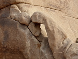Small Arch, Joshua Tree National Park, California, United States of America, North America Photographie par James Hager