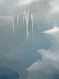 Icicles on the Face of the Athabasca Glacier, Jasper National Park, Alberta, Canada Photographic Print by James Hager