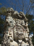 Stela D Dating From 736 Ad, Copan Archaeological Park, UNESCO World Heritage Site, Honduras Fotografisk tryk