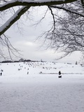 People Sledging on a Snow Covered Hill, Hampstead Heath, London, England, United Kingdom, Europe Photographic Print by Michael Kelly
