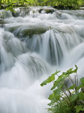 Foaming Cascades, Plitvice Lakes National Park (Plitvicka Jezera), Lika-Senj County, Croatia Photographic Print by Ruth Tomlinson