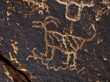Bighorn Sheep Petroglyph, Petrified Forest National Park, Arizona, USA Photographic Print by James Hager