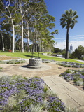 King's Park, Perth, Western Australia, Australia, Pacific Fotografie-Druck von Ian Trower