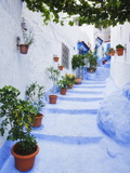 Blue Painted Steps With Flower Pots, Chefchaouen, Morocco, North Africa, Africa Photographic Print by Guy Edwardes