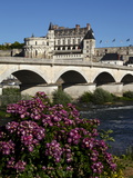 Chateau D'Amboise on the River Loire, Indre-Et-Loire, Loire Valley, France Photographic Print by Dallas & John Heaton