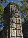 Mayan Glyphs on the Side of Stela, Copan Archaeological Park, UNESCO World Heritage Site, Honduras - Fotografik Baskı Mayan Glyphs on the Side of Stela, Copan Archaeological Park, UNESCO World Heritage Site, Honduras - Fotografik Baskı