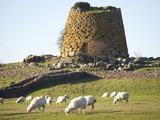 Nuraghe Succurronis, Macomer, Sardinia, Italy, Europe Photographic Print by Oliviero Olivieri