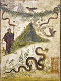 Bacchus Wearing Bunch of Grapes Pours Wine For Panther to Drink, From Pompeii Reprodukcja zdjęcia Bacchus Wearing Bunch of Grapes Pours Wine For Panther to Drink, From Pompeii Reprodukcja zdjęcia