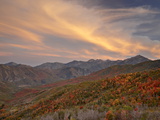 Orange Clouds at Sunset Over Orange and Red Maples in the Fall, Uinta National Forest, Utah, USA Photographic Print by James Hager