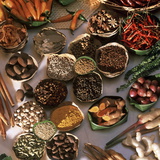 Spices Used in Thai, Indian, Indonesian and Malay Food, Thailand, Southeast Asia, Asia Photographic Print