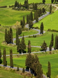 Strada Di Monticciello, Near Pienza, Tuscany, Italy, Europe Photographie par Guy Edwardes