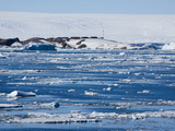 Research Station, Dumont D'Urville, Ile Des Petrels, Antarctica, Polar Regions Photographic Print by Thorsten Milse