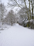 Snow Covered Footpath, Hampstead Heath, London, England, United Kingdom, Europe Photographic Print by Michael Kelly