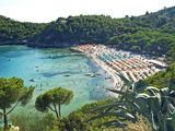 Fetovaia, Isola D'Elba, Elba, Tuscany, Italy, Europe Photographic Print