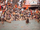 Sadhus at a Royal Bath (Sahi Snan) During Kumbh Mela in Haridwar, Uttar Pradesh, India, Asia Photographic Print