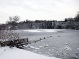Frozen Pond, Hampstead Heath, London, England, United Kingdom, Europe Photographic Print by Michael Kelly
