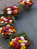 Diyas (Floral Floats) For Sale on Rishikesh Ghats, Rishikesh, Uttarakhand, India, Asia Photographic Print