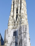 St. Stephen's Cathedral, Vienna, Austria, Europe Fotografie-Druck