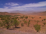 Desert Landscape Near Tafraoute, Morocco, North Africa, Africa Photographic Print