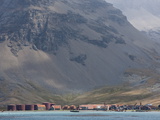 Old Whaling Station, Husvik Island, Antarctic, Polar Regions Photographic Print by Thorsten Milse