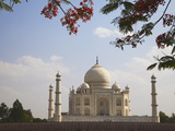 Taj Mahal, UNESCO World Heritage Site, Agra, Uttar Pradesh, India, Asia Photographic Print by Ian Trower