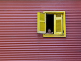 Child at a Window, La Boca, Buenos Aires, Argentina, South America Photographic Print by Thorsten Milse