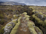Fault in the Landscape at Thingvellir National Park Near Reykjavik, Iceland Photographic Print by Lee Frost Fault in the Landscape at Thingvellir National Park Near Reykjavik, Iceland Photographic Print by Lee Frost