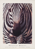 Closer Posters by Patrick Hunter