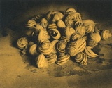 Caracoles Limited Edition by Hannah Collins