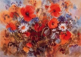 Klatschmohn 1004 Limited Edition by Margit Jungi