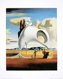 Vestiges atavique après sa pluie Poster by Salvador Dalí