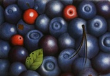 Blaubeeren / Myrtilles Limited Edition by Eva Bostroem