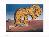 Rätsel der Begierde Poster by Salvador Dalí