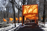 The Gates, Foto von Sylvia Volz 53 Limited Edition by Christo 