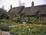 Anne Hathaway's Cottage, Birthplace and Childhood Home of Shakespeare's Future Wife, England Fotografie-Druck