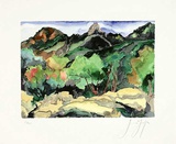 Südliche Landschaft I Limited Edition by Guenter Grass