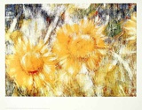 Sonnenblumen Posters by Christian Rohlfs