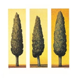 Zypressen Gelb, c.1998 Collectable Print by Folkert Rasch