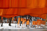 The Gates, Foto 52 Limitierte Auflage von Christo 