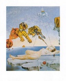 Der Flug einer Biene Posters por Salvador Dalí Der Flug einer Biene Posters por Salvador Dalí