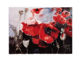 Mohn 2243 Kunstdrucke von Gisela Maack