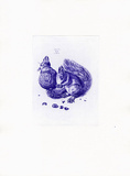 Eichhörnchen Blau/Weiß Poster by Albrecht Dürer