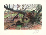 Waldlandschaft auf Moen Limited Edition by Guenter Grass
