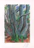 Baum I, c.2001 Limited Edition by Guenter Grass