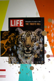 Tiger, Tiger burning bright Limited Edition by Kirstine Roepstorff