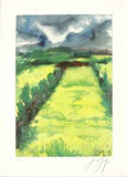 Rapsfeld in Blüte Limited Edition by Guenter Grass
