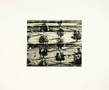 Treescape II Limited Edition by Heike Negenborn